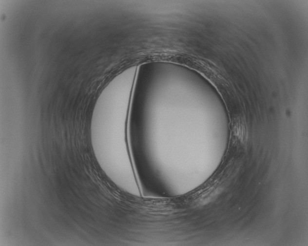 X0000081301252200701110925