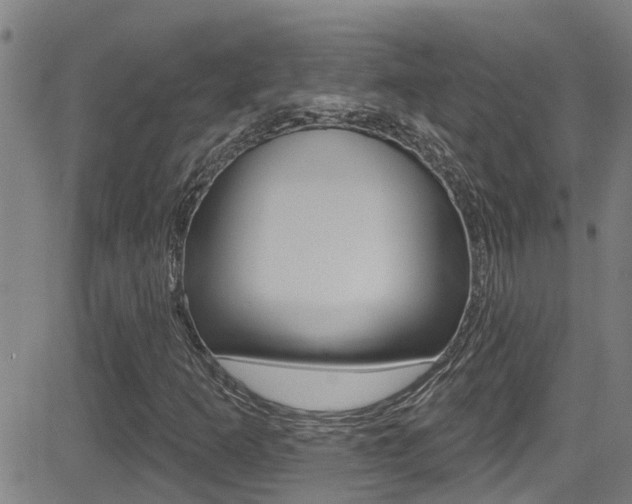 X0000081301253200701110925