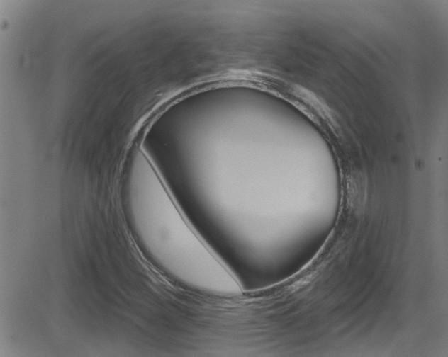 X0000081301260200701110925