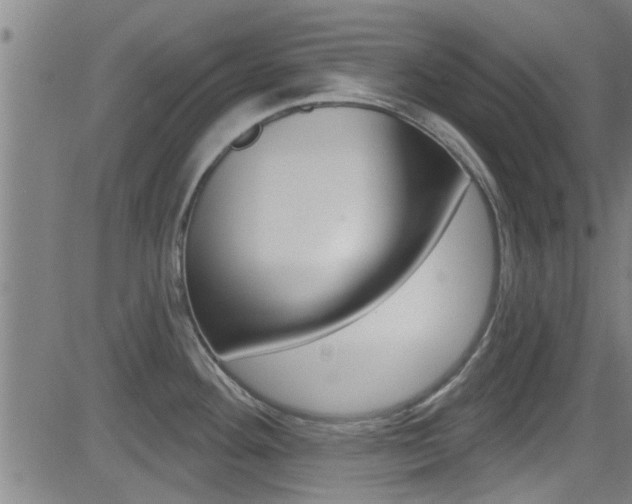 X0000081301292200701110924