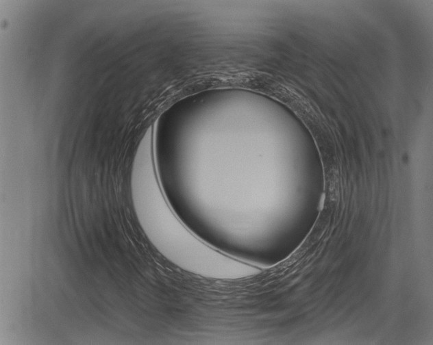 X0000081301298200701110924