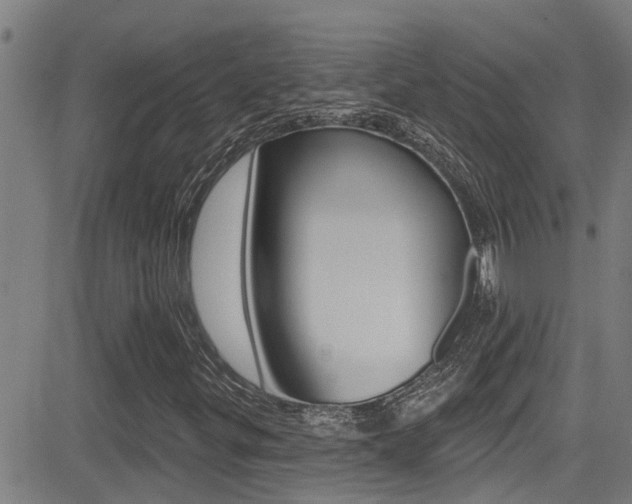 X0000081301299200701110924