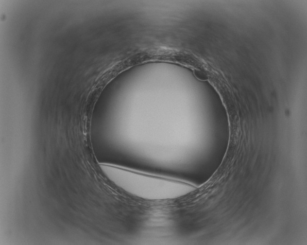 X0000081301301200701110924