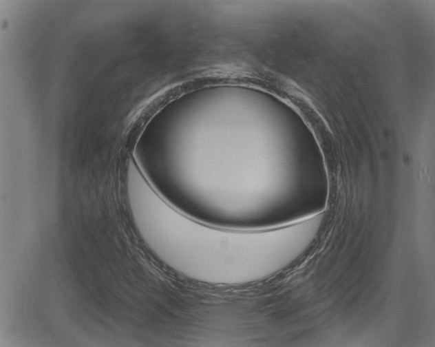 X0000081301304200701110924