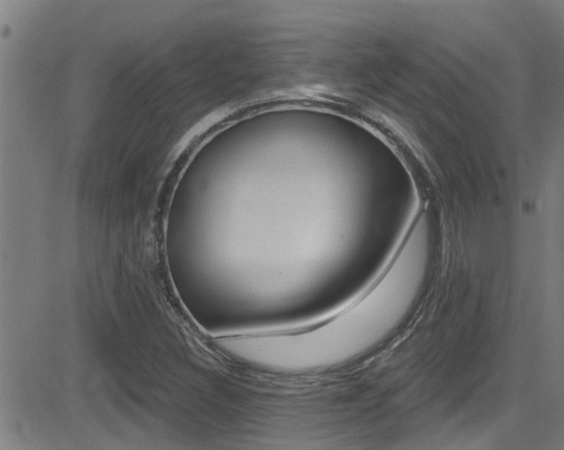 X0000081301308200701110924