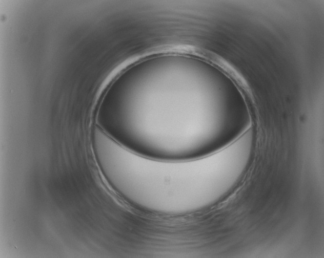 X0000081301332200701110924