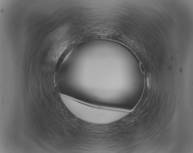 X0000081301347200701110923