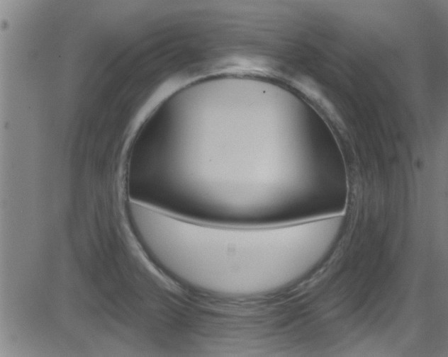X0000081301375200701110923