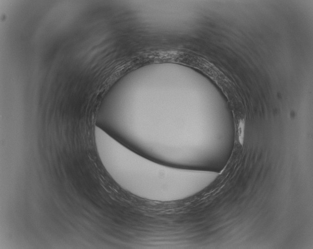 X0000081301395200701110922