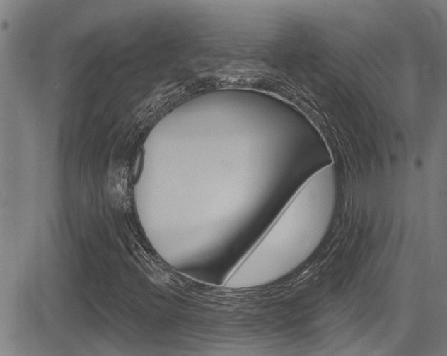 X0000081301396200701110922