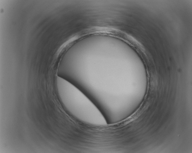 X0000081301411200701110922