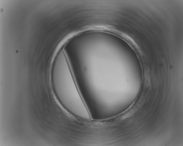 X0000081301424200701110922