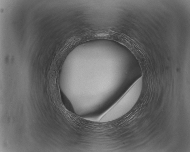 X0000081301441200701110922