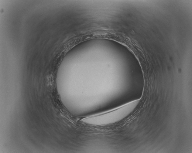 X0000081301445200701110922