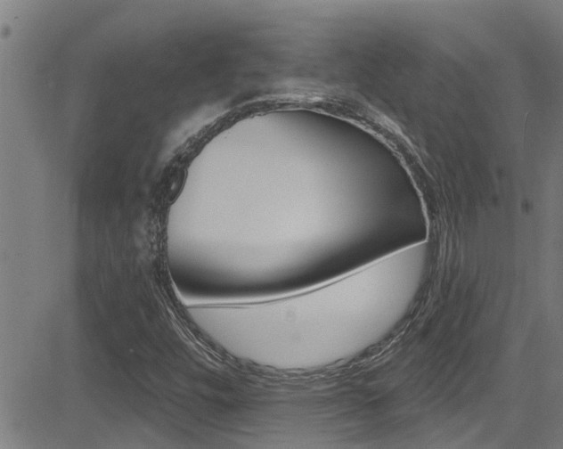 X0000081301448200701110922