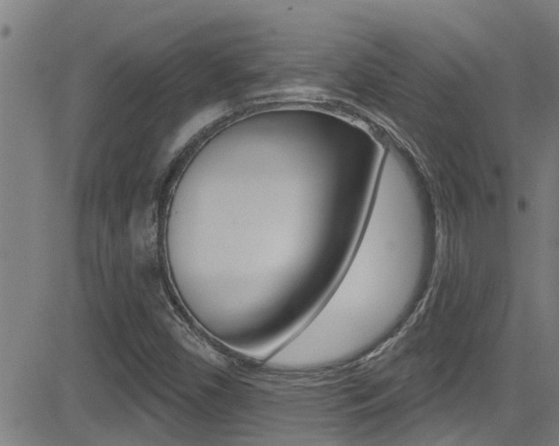 X0000081301450200701110922