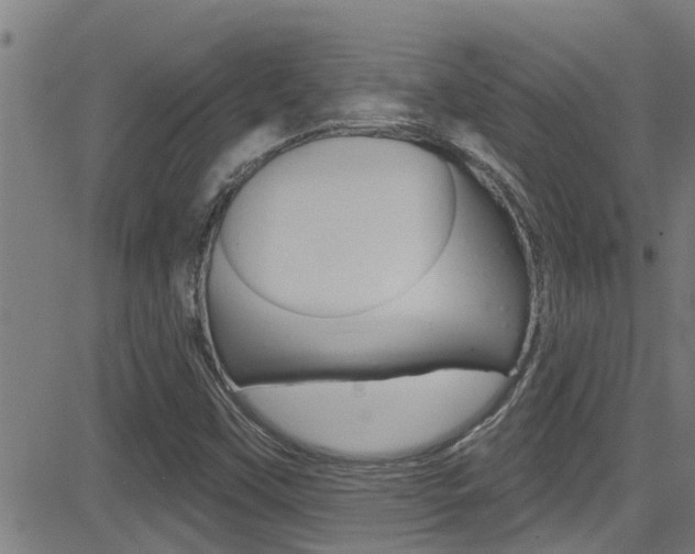 X0000081301451200701110922