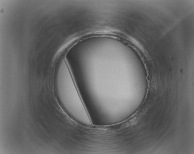 X0000081301456200701110922