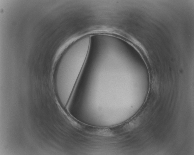 X0000081301464200701110922