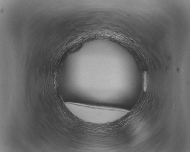 X0000081301491200701110920