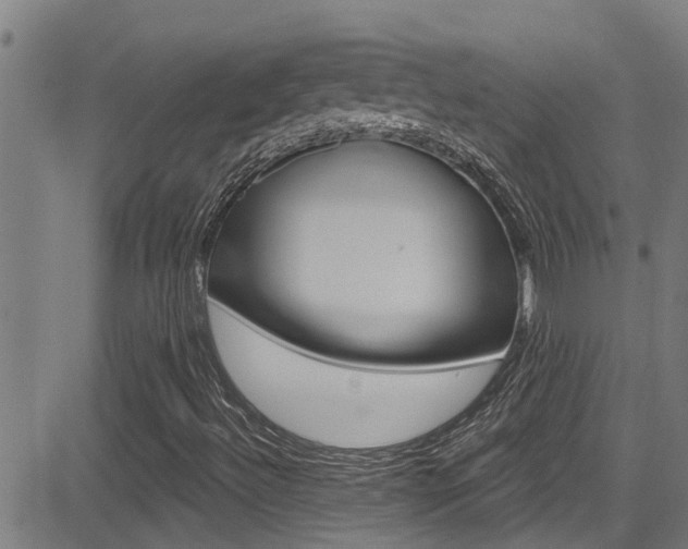 X0000081301492200701110920