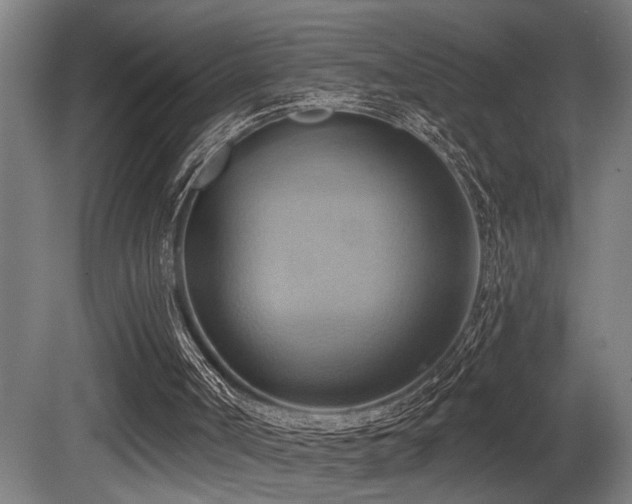 X0000081300002200701111437