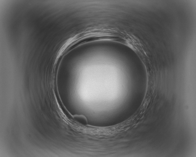 X0000081300003200701111437