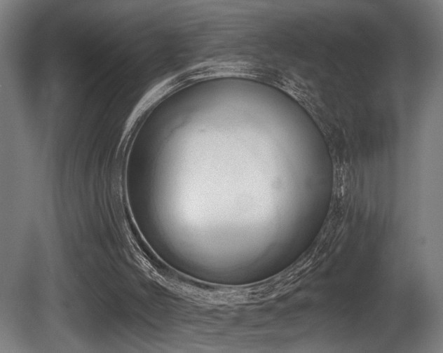 X0000081300004200701111437