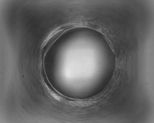 X0000081300005200701111437