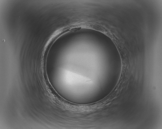 X0000081300006200701111437