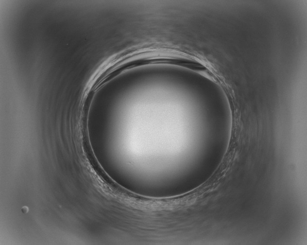 X0000081300007200701111437