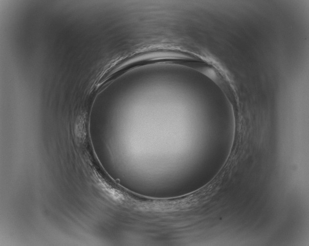 X0000081300009200701111437