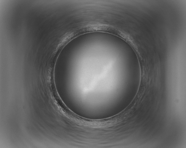 X0000081300010200701111437
