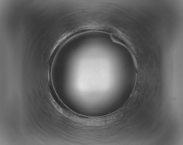 X0000081300011200701111437