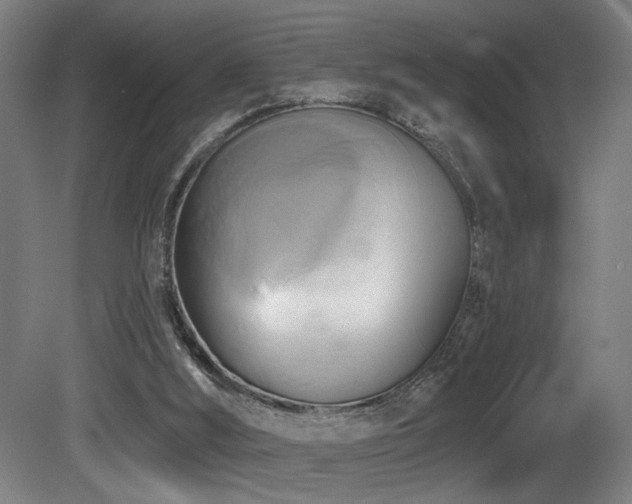 X0000081300012200701111437