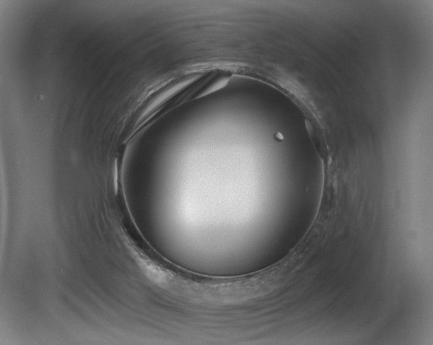 X0000081300013200701111437