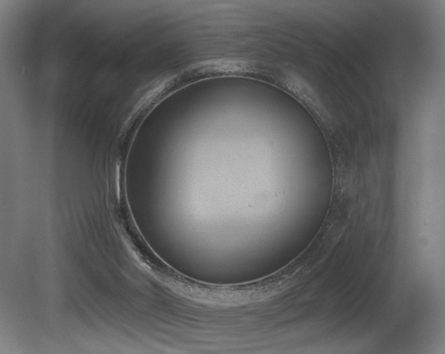 X0000081300014200701111437