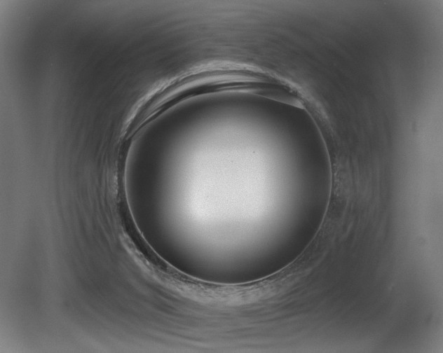 X0000081300015200701111437