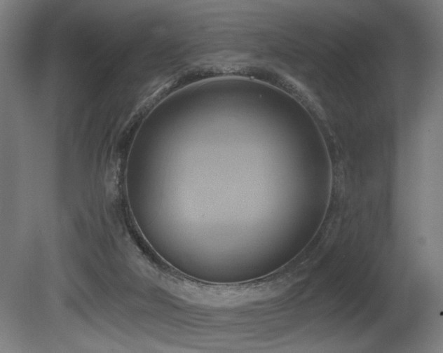 X0000081300018200701111436