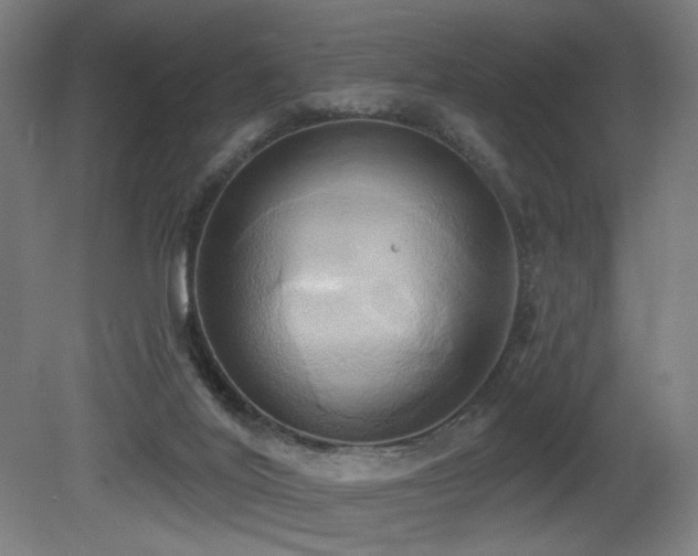 X0000081300020200701111436