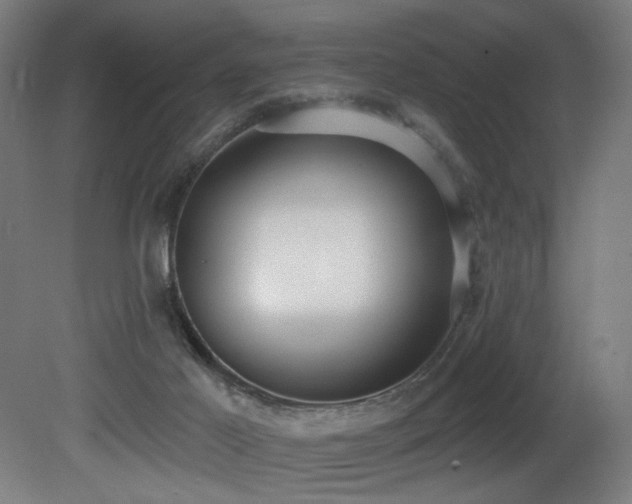 X0000081300021200701111436