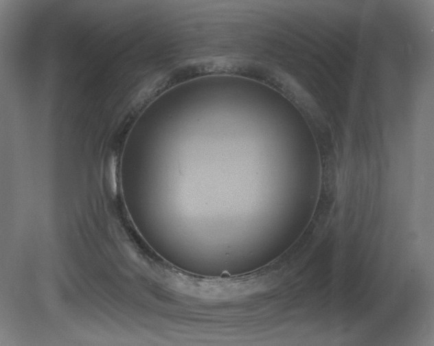 X0000081300022200701111436