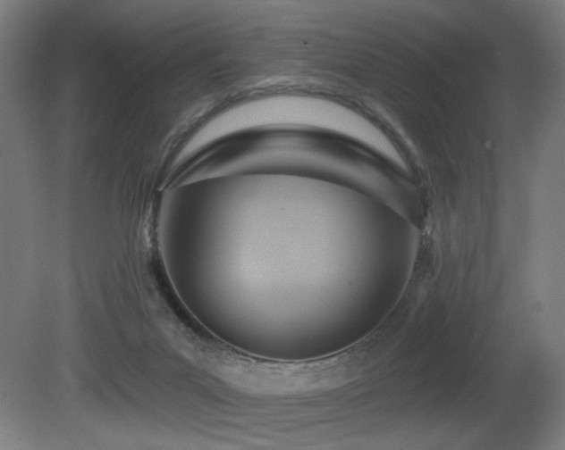 X0000081300023200701111436