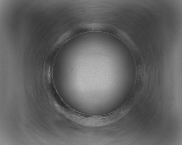 X0000081300024200701111436