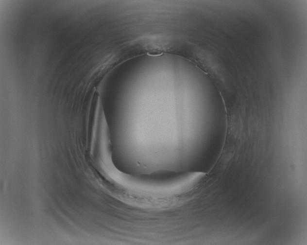 X0000081300027200701111436