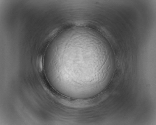 X0000081300028200701111436