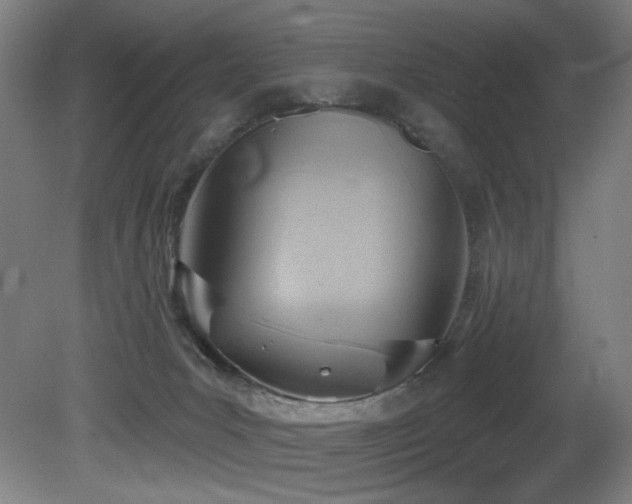 X0000081300031200701111436