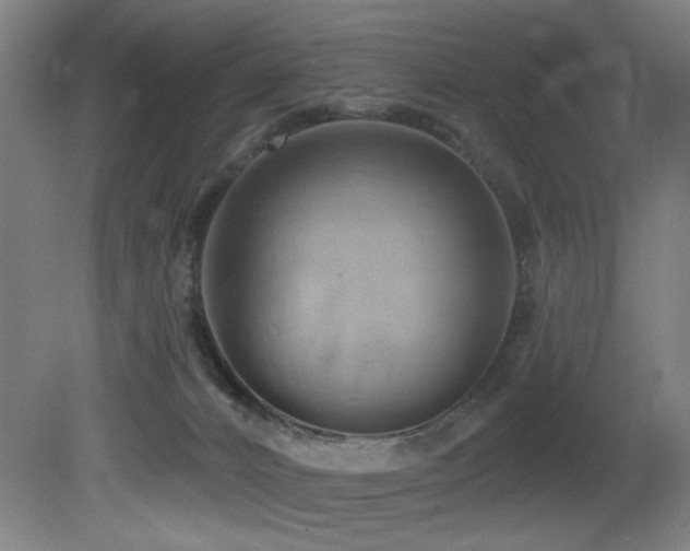 X0000081300032200701111436