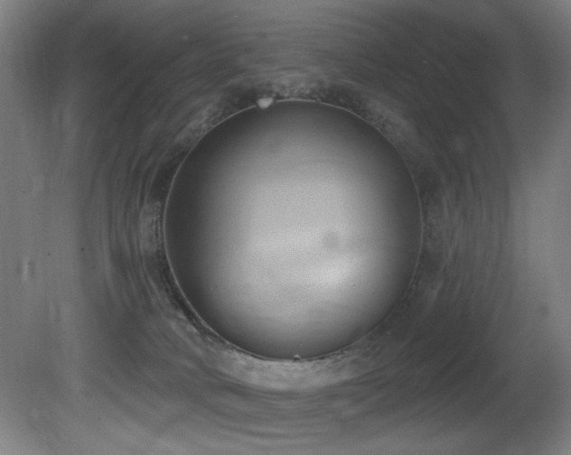 X0000081300034200701111436