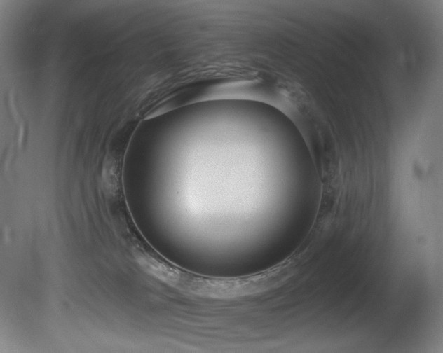 X0000081300037200701111436